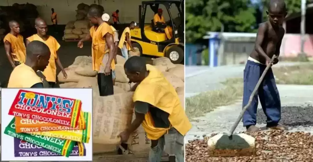 2024年十大品牌公关营销案例：30个硬核创意，每一个都“硬控”！