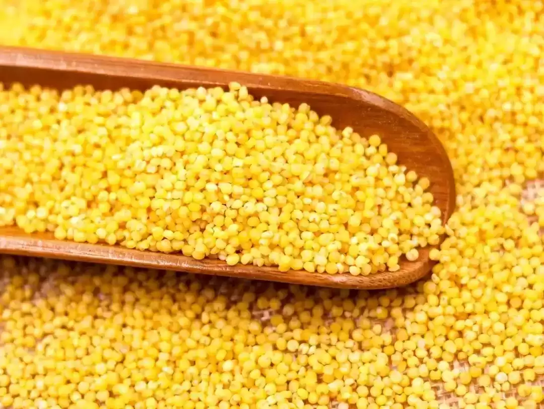 夏日没胃口？一碗米脂小米粥，瞬间开胃又养颜！