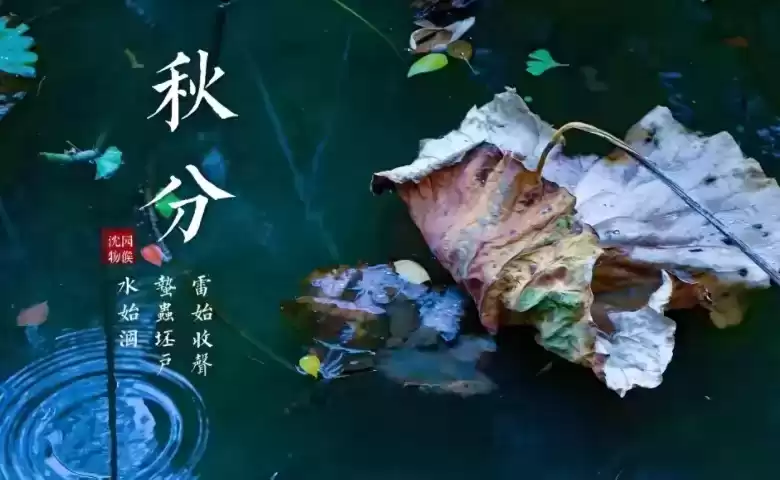 悬念式广告引爆术：3招让读者追着你跑！