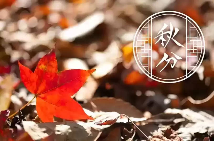 悬念广告爆款秘籍：3大案例教你写出勾魂标题，点击率翻倍！