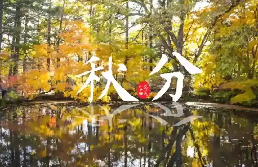 悬念广告爆款秘籍：3大案例教你写出勾魂标题，点击率翻倍！