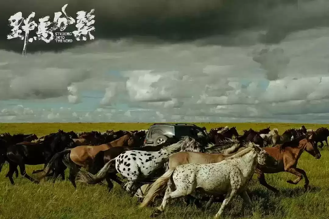 从广告男孩到影坛野马：周游的逆袭传奇