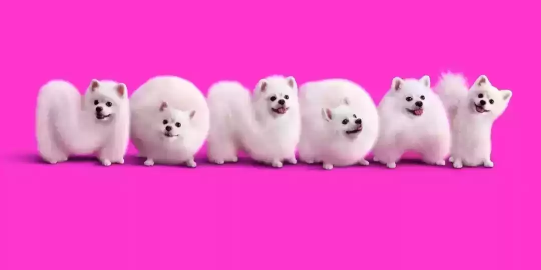 平面广告创意风暴：这些案例让你瞬间灵感爆棚！