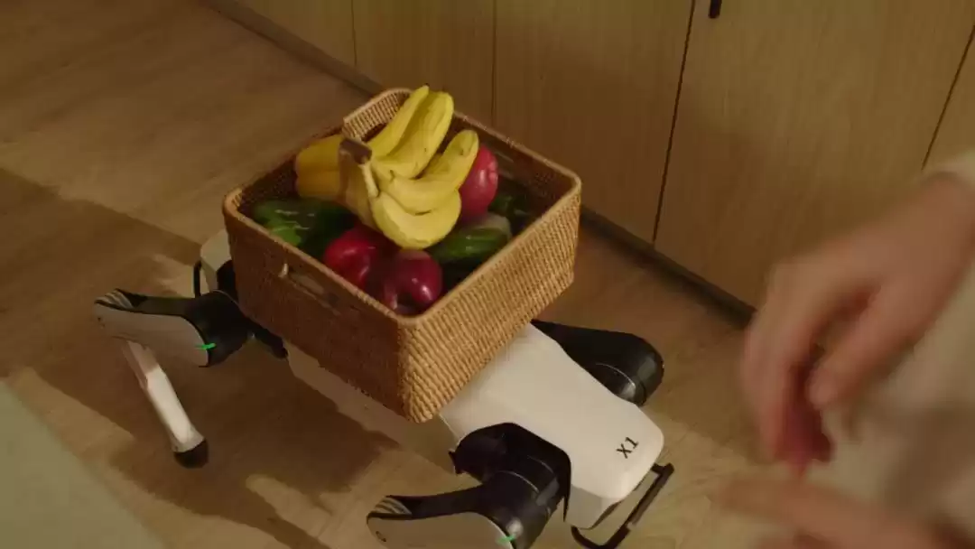 颠覆未来！全球首款家庭智能体机器人 Rover X1 仅7499元，开启智能生活革命