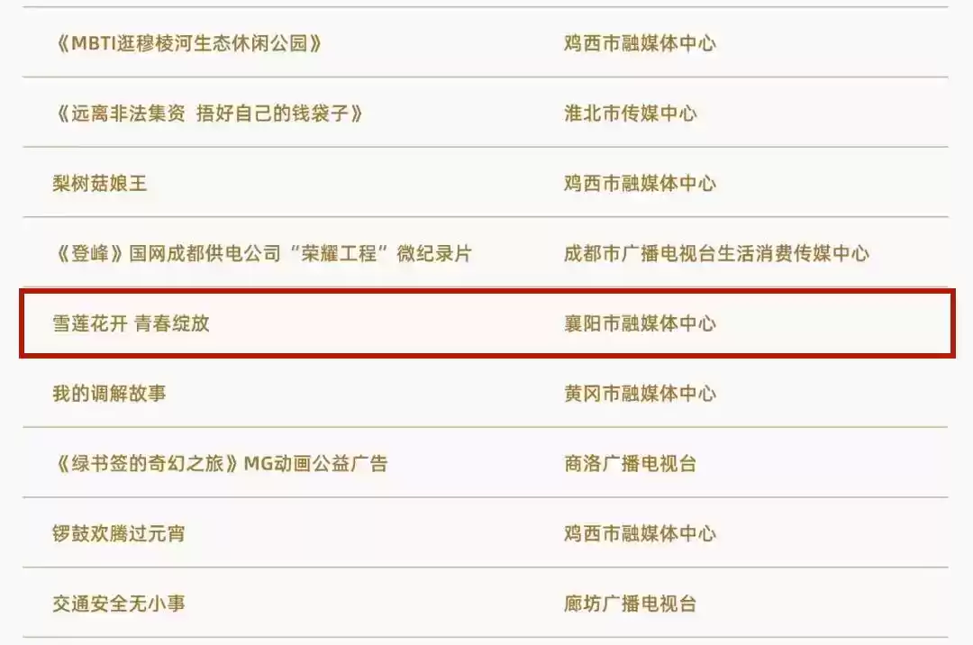 襄阳融媒体中心闪耀2025广告节！6大创新案例横扫营销大奖！