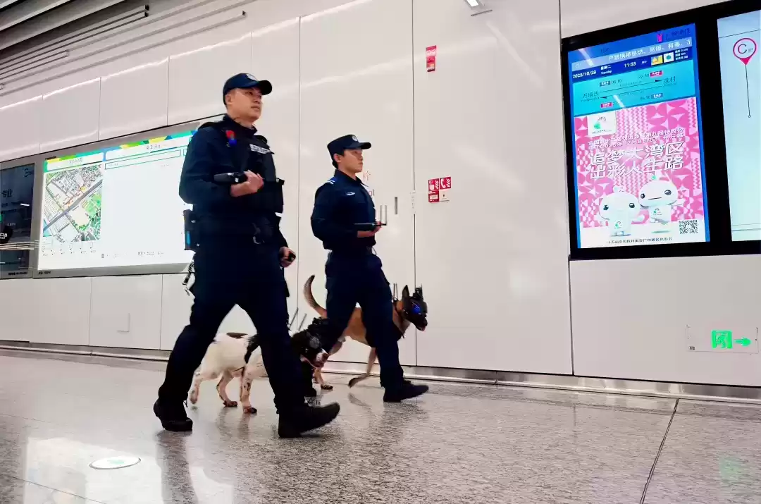 超燃！广州公安黑科技：犬用智能作战头盔，萌帅出击，安保革命！