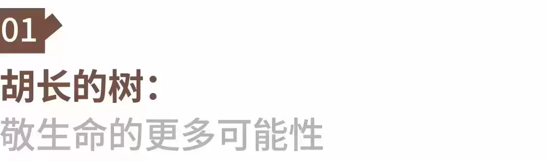 破圈之作！一棵树如何颠覆户外广告的传统叙事？