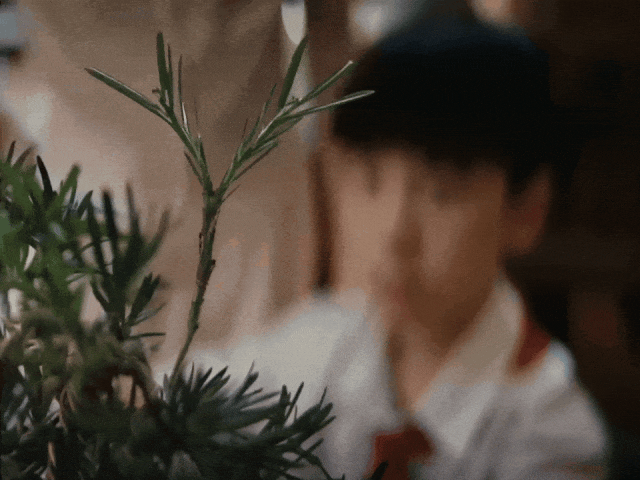 破圈之作！一棵树如何颠覆户外广告的传统叙事？