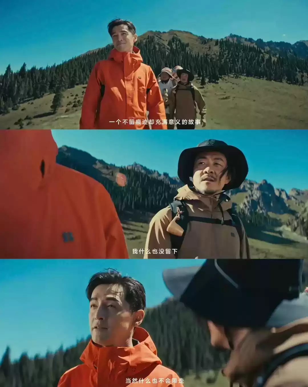 破圈之作！一棵树如何颠覆户外广告的传统叙事？