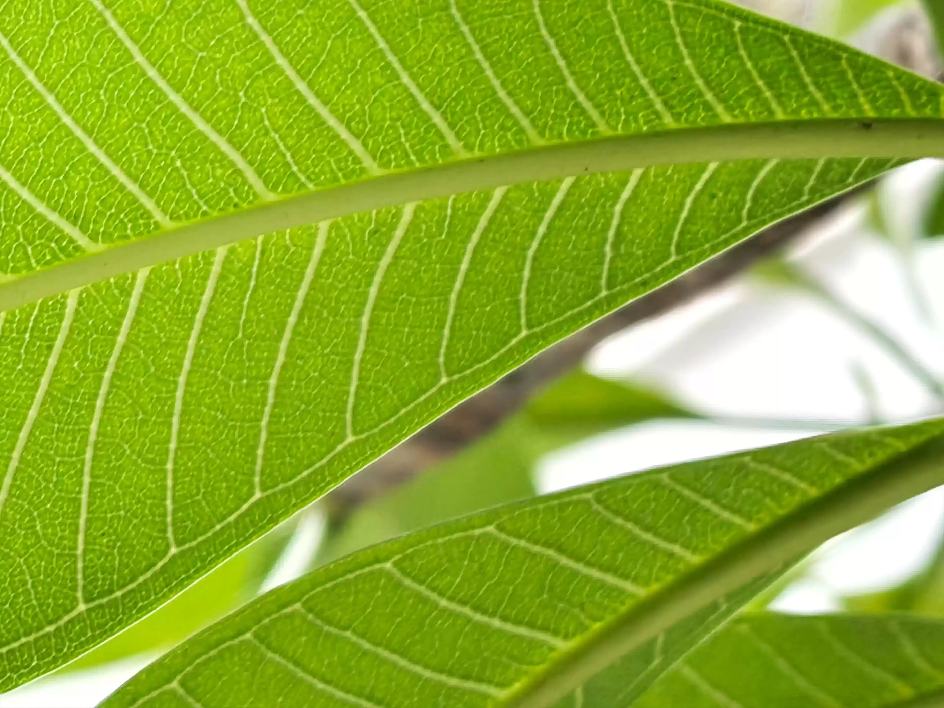 3999元起！REDMI K90 Pro Max首发评测：手感惊艳，音质炸裂成最大亮点