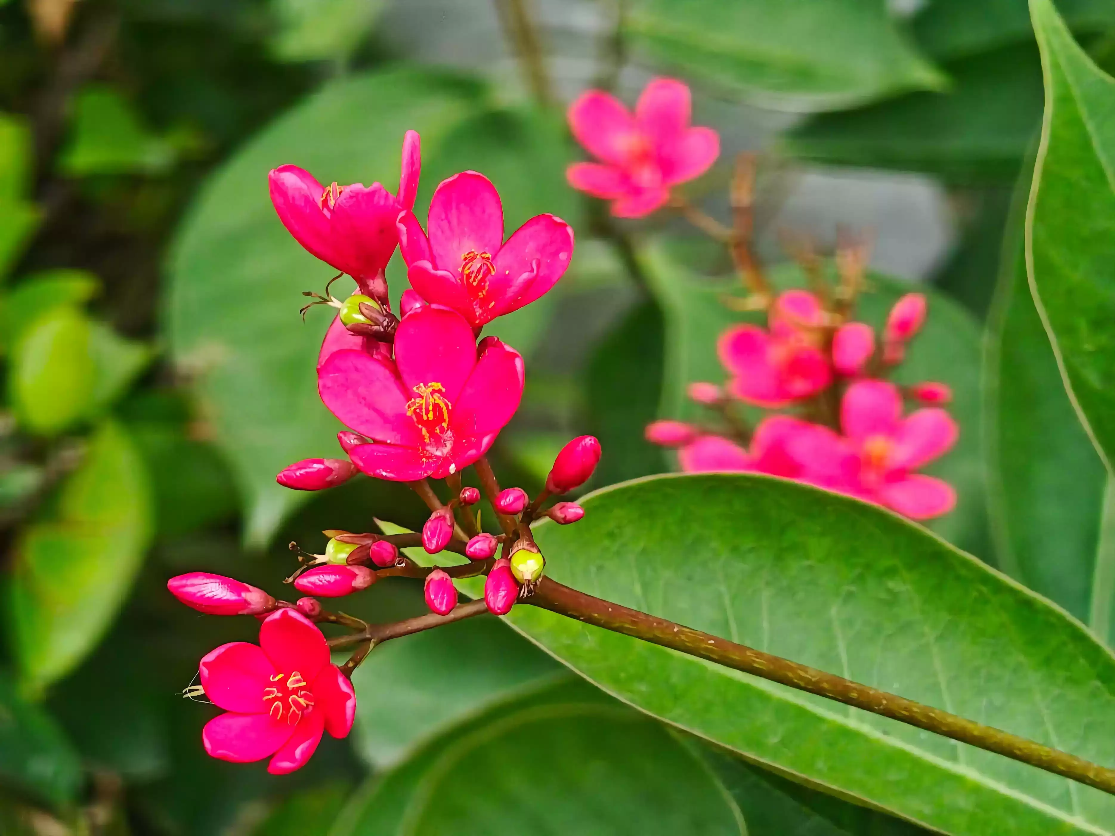 3999元起！REDMI K90 Pro Max首发评测：手感惊艳，音质炸裂成最大亮点