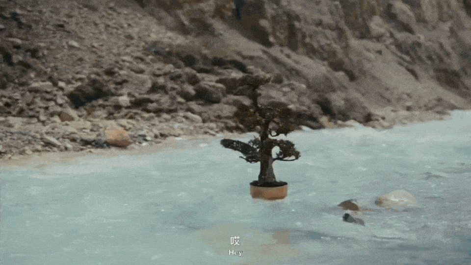 胡歌新广告刷屏:一棵树如何颠覆户外品牌营销? 胡歌新广告刷屏:一棵树如何颠覆户外品牌营销?