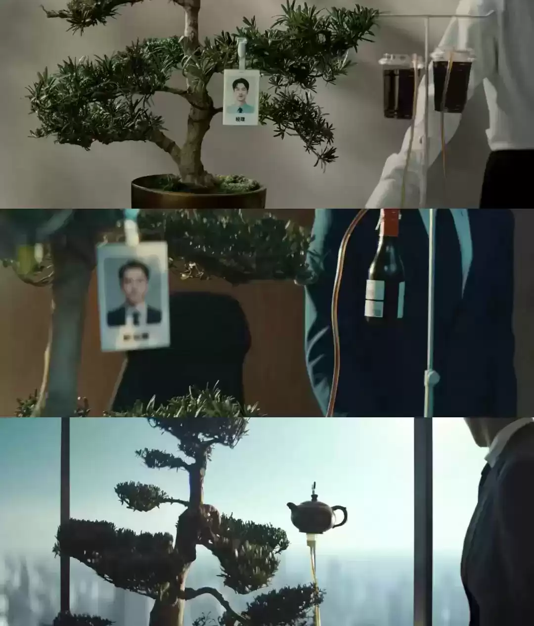 胡歌新广告刷屏:一棵树如何颠覆户外品牌营销? 胡歌新广告刷屏:一棵树如何颠覆户外品牌营销?