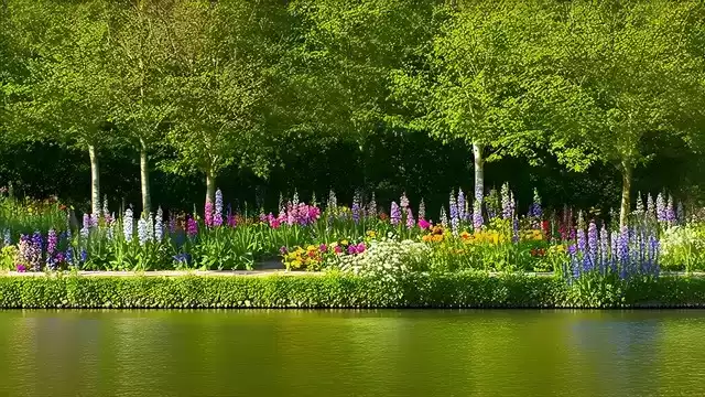 上海广告人震撼分享:内心从容,才是人生最顶级的活法! 上海广告人震撼分享:内心从容,才是人生最顶级的活法!