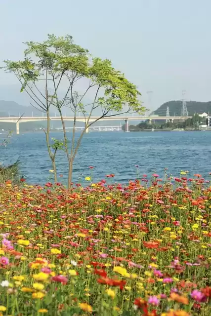 上海广告人震撼分享:内心从容,才是人生最顶级的活法! 上海广告人震撼分享:内心从容,才是人生最顶级的活法!