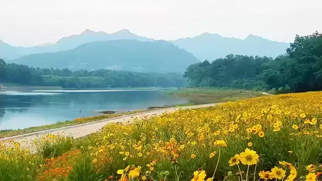 上海广告人震撼分享:内心从容,才是人生最顶级的活法! 上海广告人震撼分享:内心从容,才是人生最顶级的活法!
