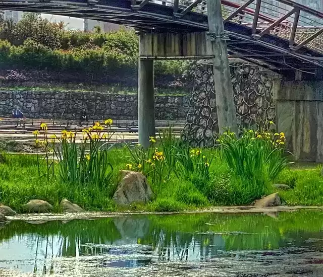 上海广告人震撼分享:内心从容,才是人生最顶级的活法! 上海广告人震撼分享:内心从容,才是人生最顶级的活法!