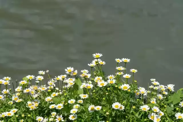 上海广告人震撼分享:内心从容,才是人生最顶级的活法! 上海广告人震撼分享:内心从容,才是人生最顶级的活法!
