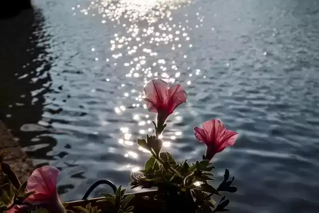 上海广告人震撼分享:内心从容,才是人生最顶级的活法! 上海广告人震撼分享:内心从容,才是人生最顶级的活法!