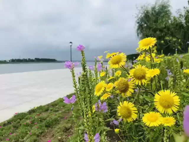 上海广告人震撼分享:内心从容,才是人生最顶级的活法! 上海广告人震撼分享:内心从容,才是人生最顶级的活法!