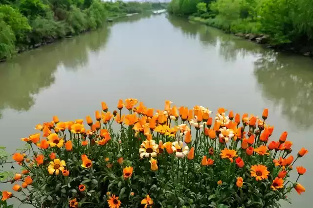 上海广告人震撼分享:内心从容,才是人生最顶级的活法! 上海广告人震撼分享:内心从容,才是人生最顶级的活法!