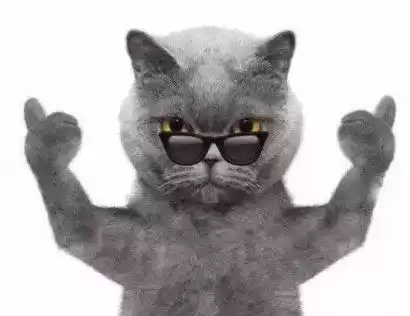 640万条垃圾短信引爆法律风暴！地产商拒付28.8万，法院判决颠覆行业认知！