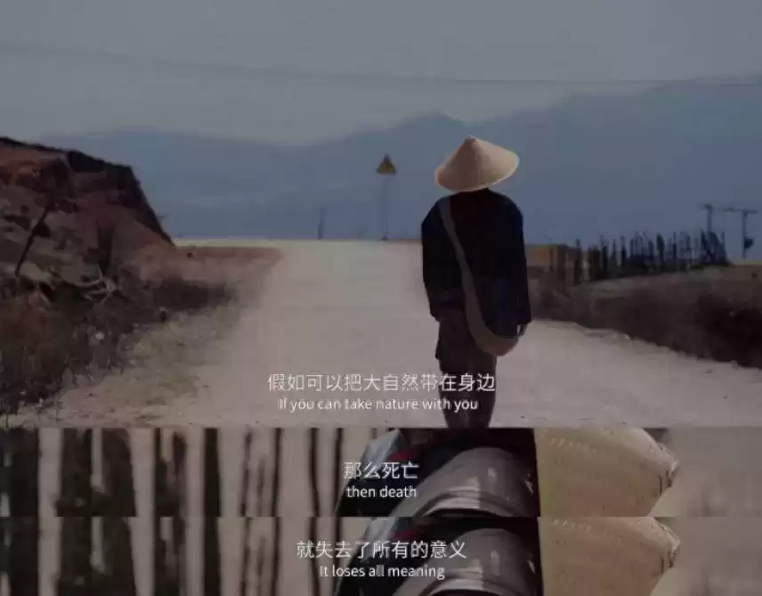 情感破防：2021年度最戳心营销案例深度揭秘，品牌成长必修课！