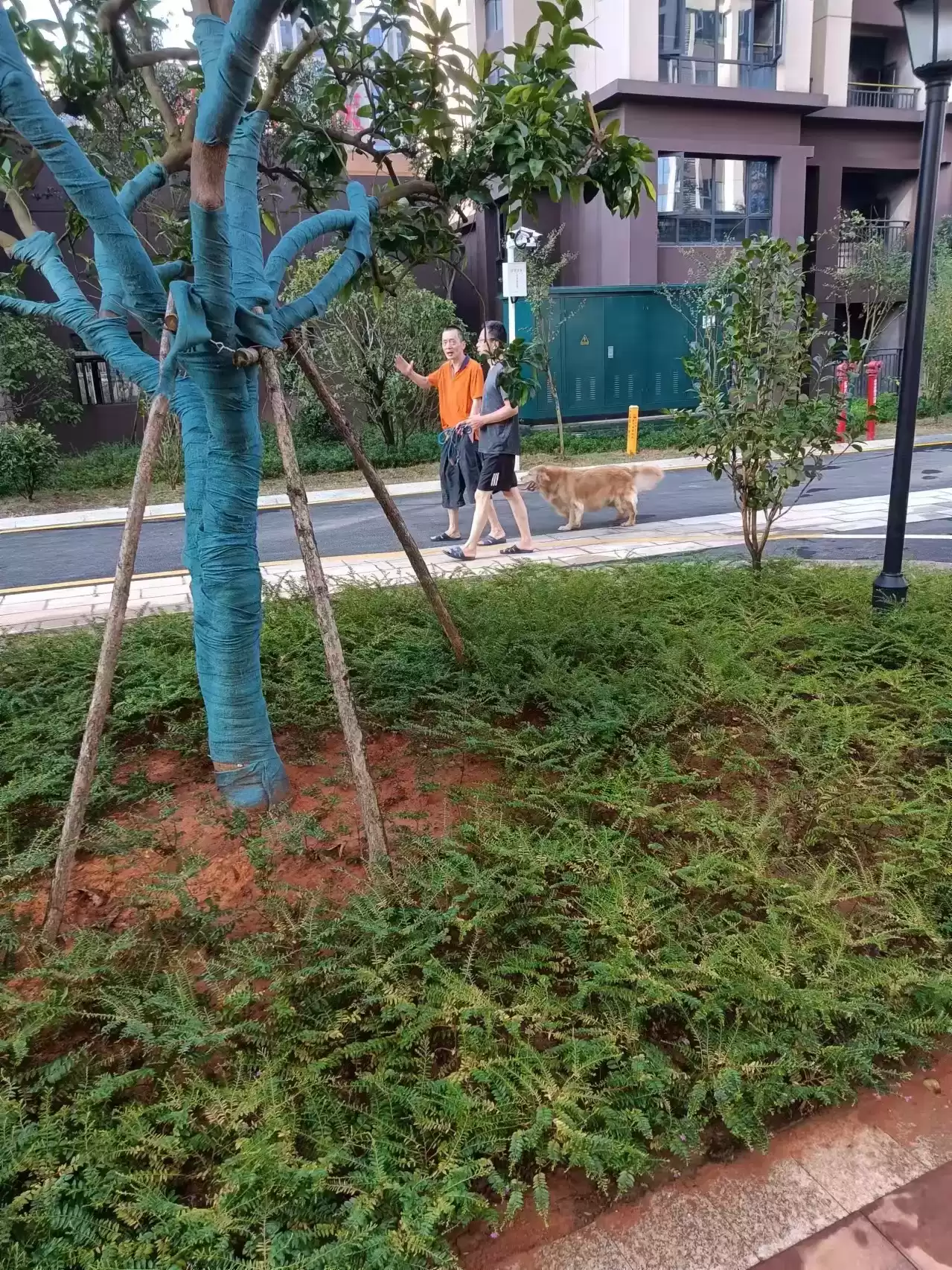 开发商承诺的幼儿园不翼而飞？业主维权大战引爆选址争议！